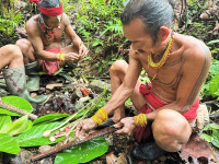/album/fotogaleria-mentawai-ostrov-ludozrutov-zajazd-vy-a-my/mentaway-siberut-zajazd-jamajkanita-41-jpg/